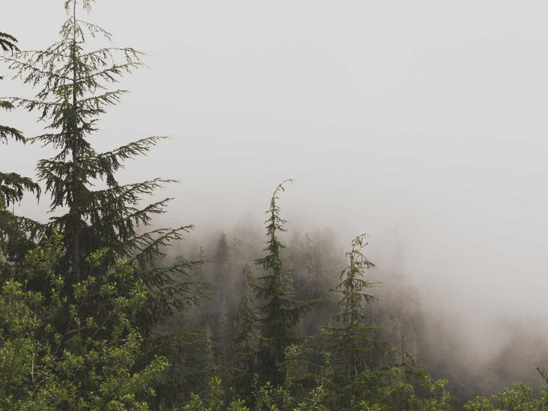 最后生还者<br>lys7ijqq.cn 真菌孢子危机